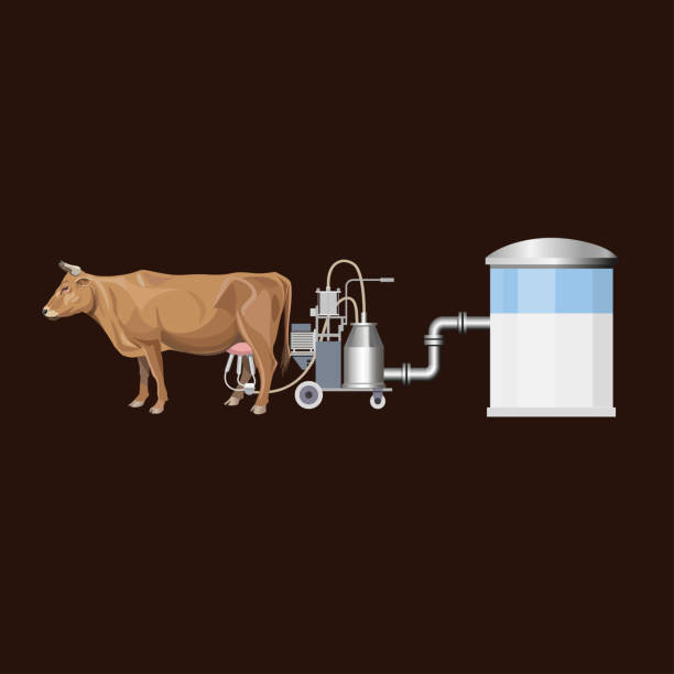 Milk Booster for Cattle | Best Supplement for Higher Milk Yield & Fat